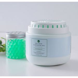 BAS 바스 대용량 빅 탈취제 페퍼민트 1개 소분용기 2개 스푼 1개 1100g