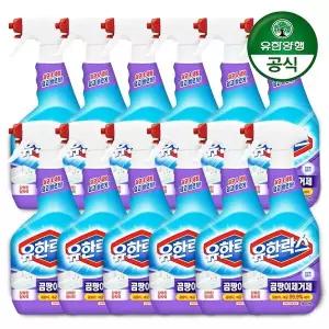[신세계라이브쇼핑]유한락스 곰팡이제거제 500ml+500ml x 6개