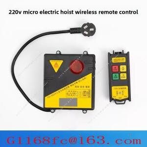 마이크로 전기 220V 호이스트, 윈치, 리프팅 크레인, 상하 스위치, 무선 리모컨