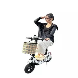 좌식 전동킥보드 배달용 앉아서타는 경량 성인 이동수단