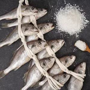 [인정식탁][영광어찬] 살이 통통한 국내산 영광 백조기 20미 / 총 2kg이상