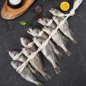 [인정식탁][영광어찬] 살이 통통한 국내산 영광 백조기 10미/ 총 1kg이상