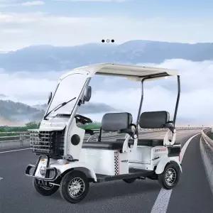 노인 전동스쿠터 사륜 어르신 전동사륜차 관광 카트 4발 시니어 사발이 바이크 충전식