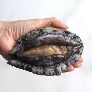 완도 활 전복 대 8미 1kg 프리미엄 선물용 싱싱한 당일발송 산지직송 건강식 보양식 WL