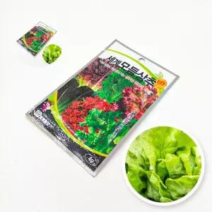 실내식물 세계채소 상추 모듬 씨앗 홈가드닝 원예 종자