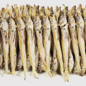 (햇) 줄노가리 100마리 말린/건조 노가리 Rme5+1EkV