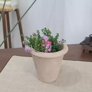 빈티지 토분 콘 엔틱화분 카페 키큰세로긴화분 키큰 틱화분 인테리어 다육이 화초 베트남 거실