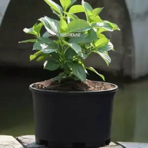 대형 플라스틱 포트 화분38호 원형 프라 야외농장화분 베란다 텃밭 야외용 실외