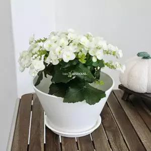 고강도 화분 원형 앙코르볼 분재 플라스틱 거실인테리어 물빠짐장미허브화분 몬스테라 모던 빠짐 가벼운 분