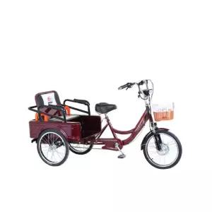 3세대 성인용 누드카 48V 표준형 누드카 충격흡수 배터리 배터리 48V 성인 3발 브레 트레일러 브레이크 세발전기자전거 표준형 전기 드라이버 안전 기본형 드라이버