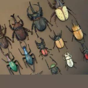 하늘소 코카서스 사슴벌레피규어 2 전5종 모형 케이스 세트 동상 현물 그린 교구 고퀄리티 장수풍뎅이 완비 장수풍뎅이모형 달걀지갑 달걀지갑 완비 현물 전5종