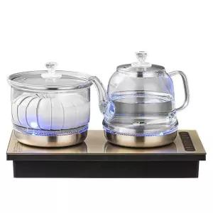 전기 티포트 듀얼 자동 홈카페 녹차 대용량 차탕기