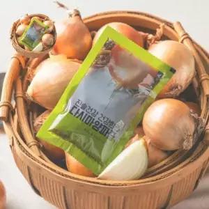 건강한즙 진솔건강 다시마양파즙 100개입 100봉 100ml