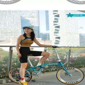 웅즈 바이크스프로 출퇴근용 스탠다드 접이식 소형