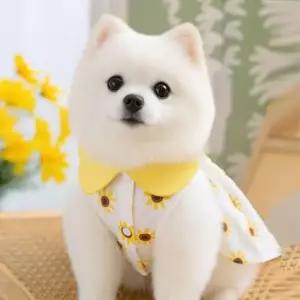 [반려] 노랑카라 해바라기 하네스 원피스 반려동물옷