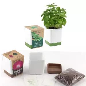 반려식물키우기 바질씨앗 흙 화분세트