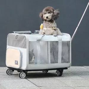 접이식 이동장 강아지 고양이 돔형 캐리어 반려견 켄넬 펫하우스