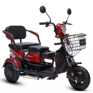 3륜 전기차 바이크 출퇴근 배달 오토바이 스쿠터 600W 48V12a
