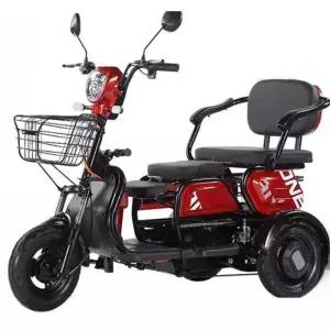 삼륜 전동 스쿠터 가정용 여성 노인 배터리 오토바이 납산 48V12A