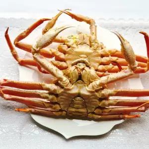 장보리 북해도 수율 가득 자숙 대게 2미 1kg내외