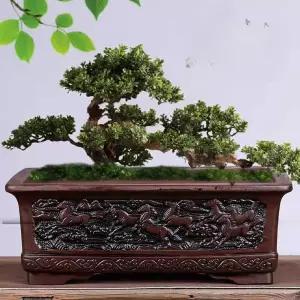 소나무 분재 화분 토기 세라믹 다육 분갈이 빈티지 토분