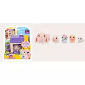 리틀 라이브펫 햄스터 1개 어린이날 조카 선물