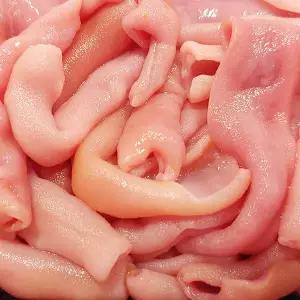 국내산 손질 참 개불 10미 대