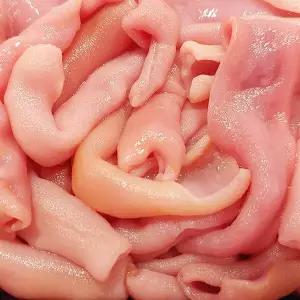 국내산 손질 참 개불 10미 대