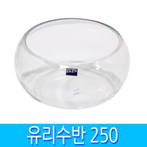 고급유리수반 250 소형 원형 유리 수경 식물 재배