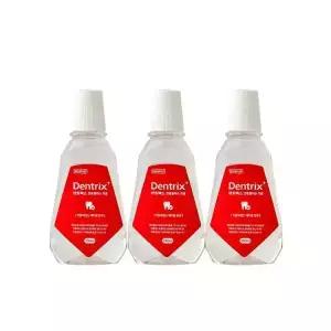 덴트릭스 플러스 가글액 250ml 3개 상쾌한가글