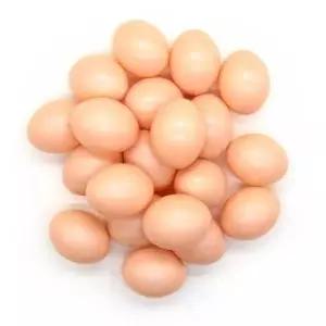 [문구/오피스] 계란모형 부활절계란 계란인형 PVC 달걀 계란 원색