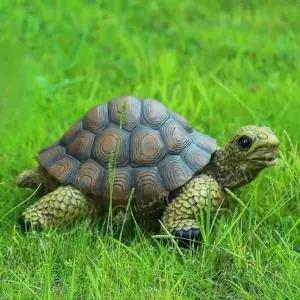 진짜같은 거북이 모형 같은 악어거북 야외 진짜 리얼 세트 쿠션