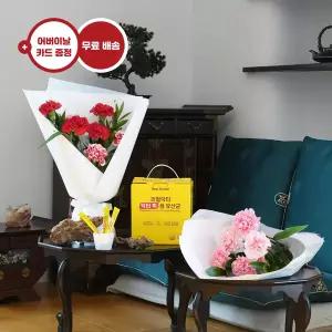 심플 카네이션 꽃다발+리얼닥터 유산균 꽃배달 꽃배송