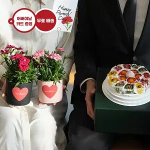 카네이션 화분 세트(2pcs)+백년초 떡케이크 꽃배달 꽃배송