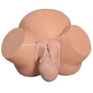 출산 실습 모형 난산 훈련 모의 분만 산모 남자 여자