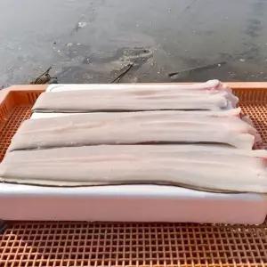 국내산 바다장어 2-6미 손질후중량 1kg