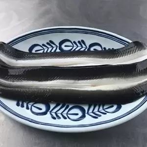 [지투지샵]국내산 자포니카 민물장어 2미 손질후중량 650g