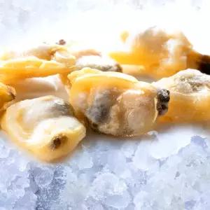 냉동 바지락 1kg 깐 바지락살 급냉 남해안 조개탕 국물요리