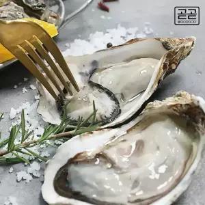 통영굴 제철 횟감용 생굴 삼배체굴 석화 각굴 하프셀 통영 직발송