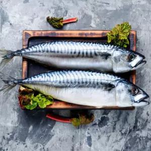 유쎌몰 통고등어 3미X2 냉동통고등어 동해안생물오징어