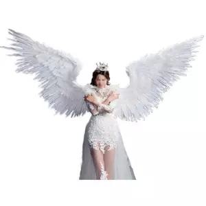 대형천사날개 파티소품 웨딩촬영소품 요정 촬영소품 파티 날개
