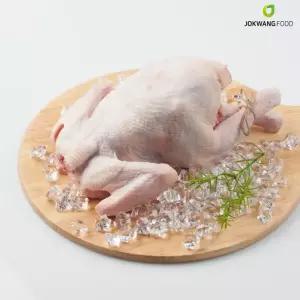 국내산 백숙용 토종닭 18호(1.76kg) 냉장 냉동 1마리 닭백숙 삼계탕