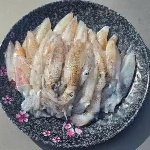 제철 생물 대왕 호래기 국내산 1kg