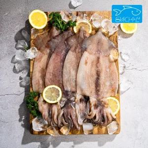 국내가공! 원양산 손질 오징어 파품 1kg내외