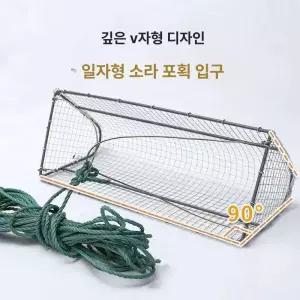 다슬기 우렁이 식감 잡기 심해소라 50cm 거북이키우기