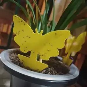 고품질 WL 화분 초파리 벌레 끈끈이 트랩 12p 화초가꾸기 총채벌레 뿌리파리 날파리 화분찍찍이 WFLUMTZ