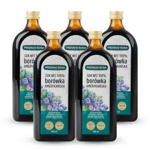데일리원 프리미엄로사 블루베리 원액 즙 100% 500ml 5병