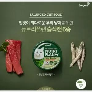 TBZ 동원 뉴트리플랜 고양이캔(흰살참치와 멸치)24개