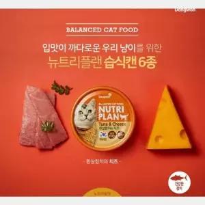 TBZ 동원 뉴트리플랜 고양이캔(흰살참치와 치츠)24개