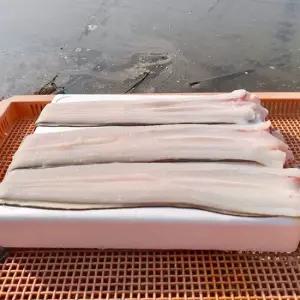 국내산 바다장어 2-6미 손질후중량 1kg